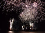 DSCF0354-z.JPG