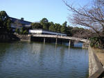 DSC01382-1.JPG