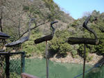 DSC02059-1.JPG