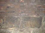 DSC02119-1.JPG