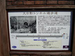 DSC02129-1.JPG