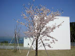 DSC03005-1.JPG