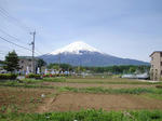 DSC03264-1.JPG