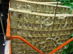 DSC03657-1.JPG