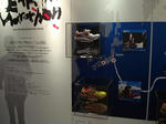 DSC04029-a.JPG