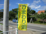 DSC04064-1.JPG