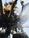 DSC04217-1.JPG