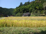 DSCF2420-1.JPG