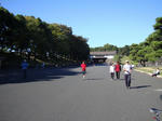 DSC05165-a.JPG