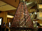 DSC05443-1.JPG