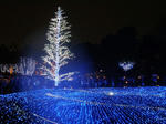 DSC05459-1.JPG