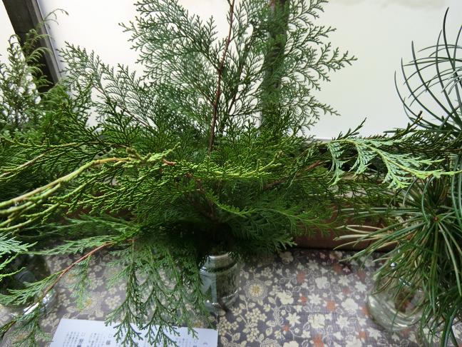 hinoki.JPG
