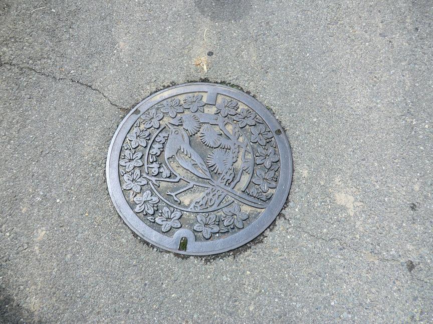 manhoru.JPG