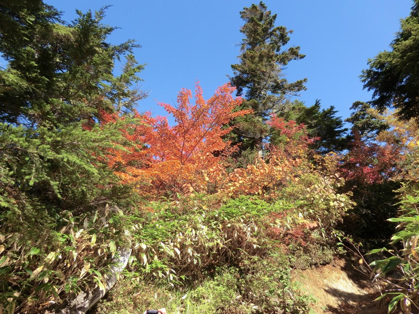 tsubakuro-1.JPG