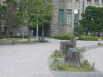 CIMG3258.jpg