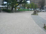 CIMG3263.jpg