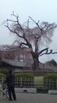 20100326124539.jpg