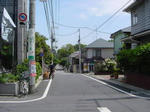 DSC00043.jpg