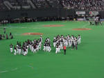 CIMG0809.JPG