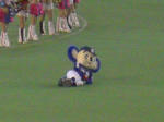 CIMG1986.JPG