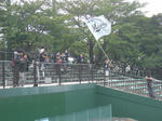 CIMG2206.JPG