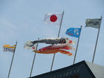 P4290003.JPG