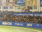 P7050053.JPG