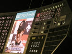 P7050058.JPG