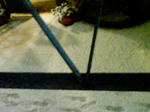 20080209.jpg