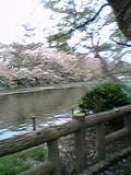 10509222011160.jpg