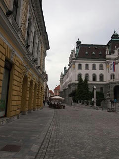 P6100949-2.jpg