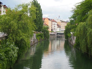 P6100955-2.jpg