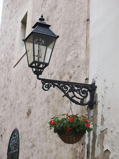 P6101043-2.jpg