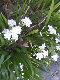 090411_1216~0001.jpg