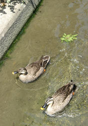 IMG_3943.jpg