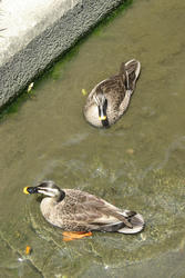 IMG_3944.jpg