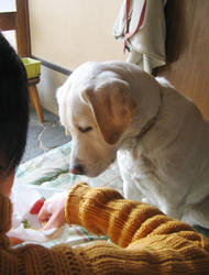 IMG_5459.jpg