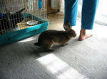 100-0041_img.jpg