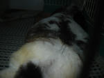 2005.4.10