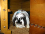 2005.5.4