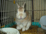 2008.10.16