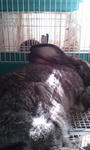 2010.12.17