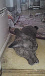 2011.2.6