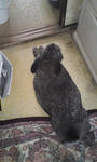 2011.2.6