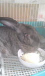 2011.3.25