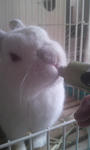 2011.3.25