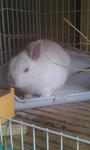 2011.3.31