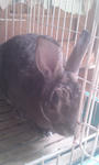 2011.3.31