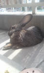 2011.3.31