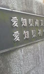 2011.3.29